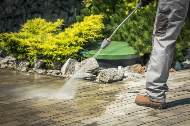 Best Restaurant Pressure Washing  in Edwardsburg, MI