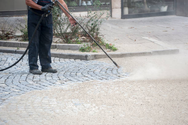 Best Spring Cleaning  in Edwardsburg, MI