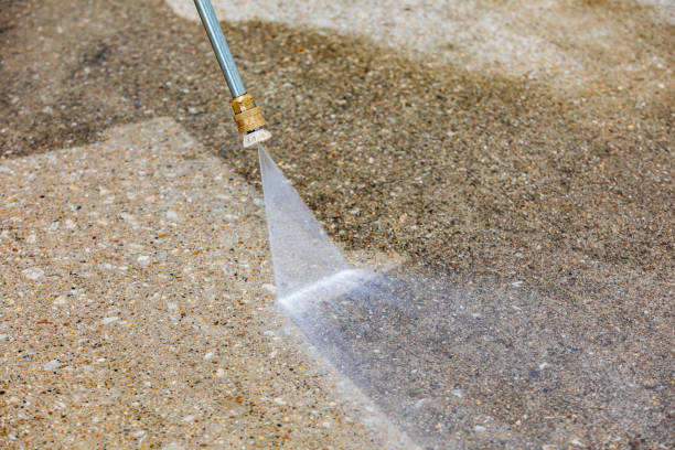 Best Gutter Cleaning  in Edwardsburg, MI