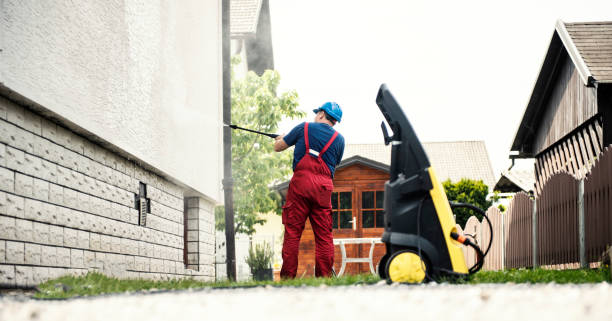 Best Soft Washing  in Edwardsburg, MI